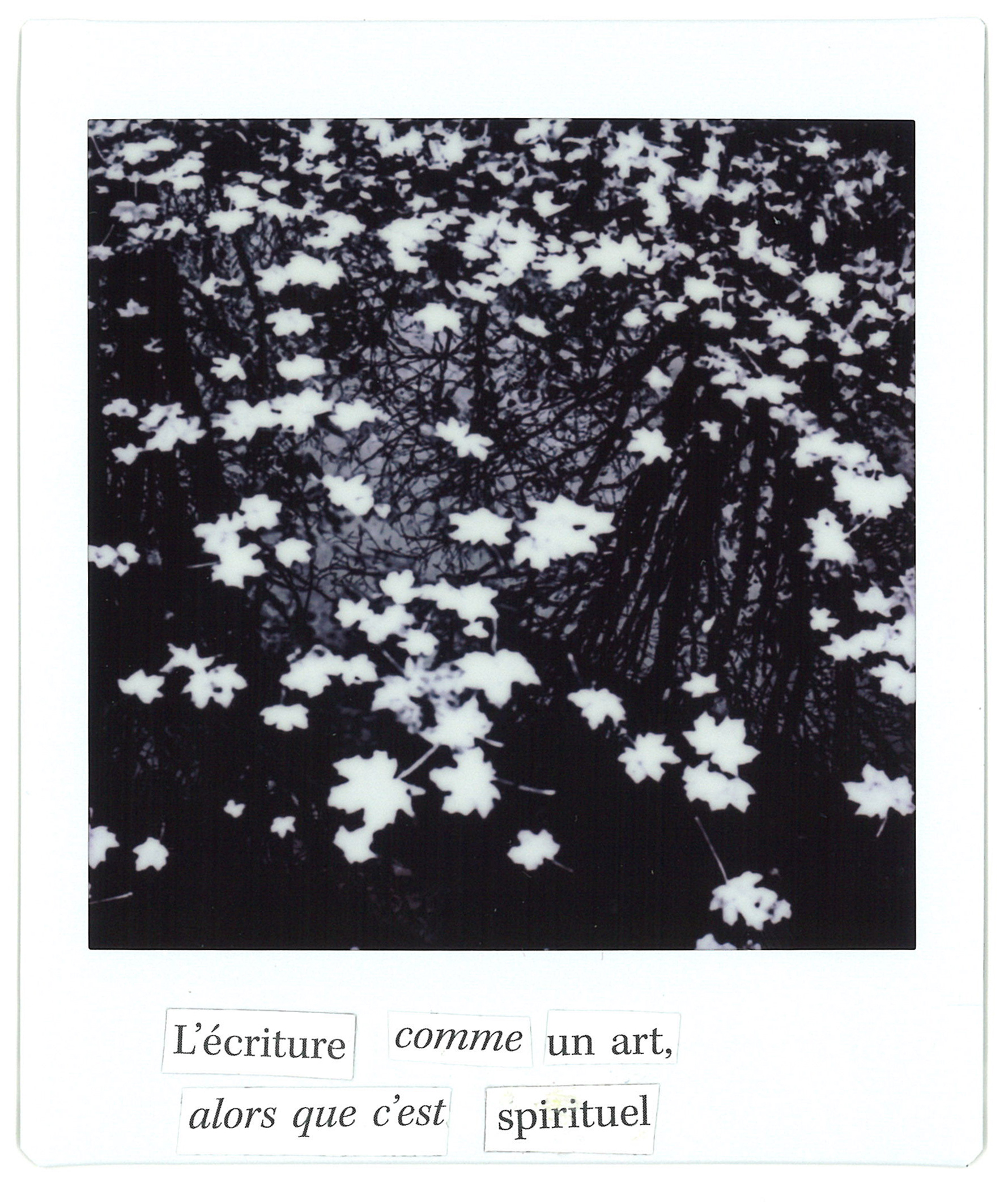 Lettrographies #4